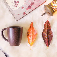 Coffee Husk Coffee Mug - 300 ml - Harvest